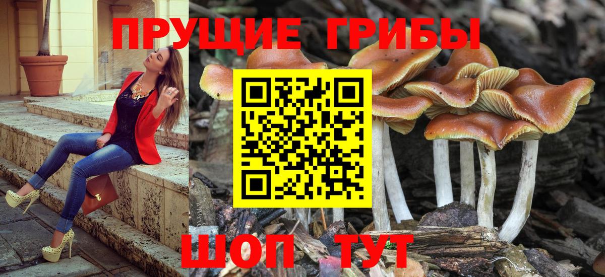 Галлюциногенные грибы GOLDEN TEACHER  Псилоцибиновые грибы Cubensis  Изобильный  Вход с VPN 