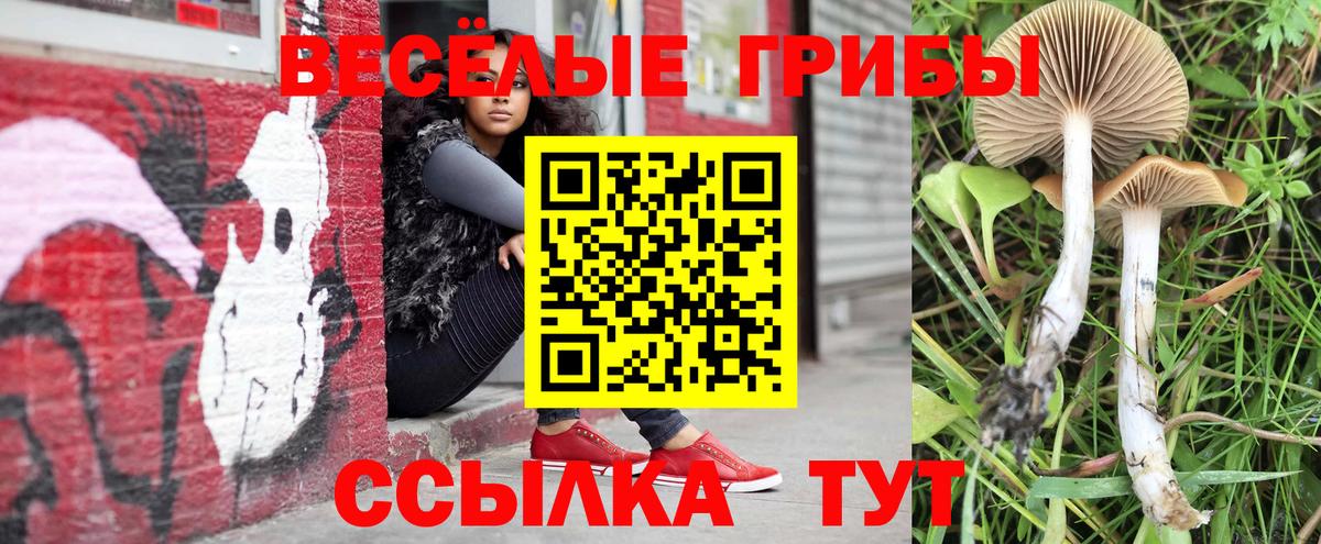 Галлюциногенные грибы прущие грибы Изобильный